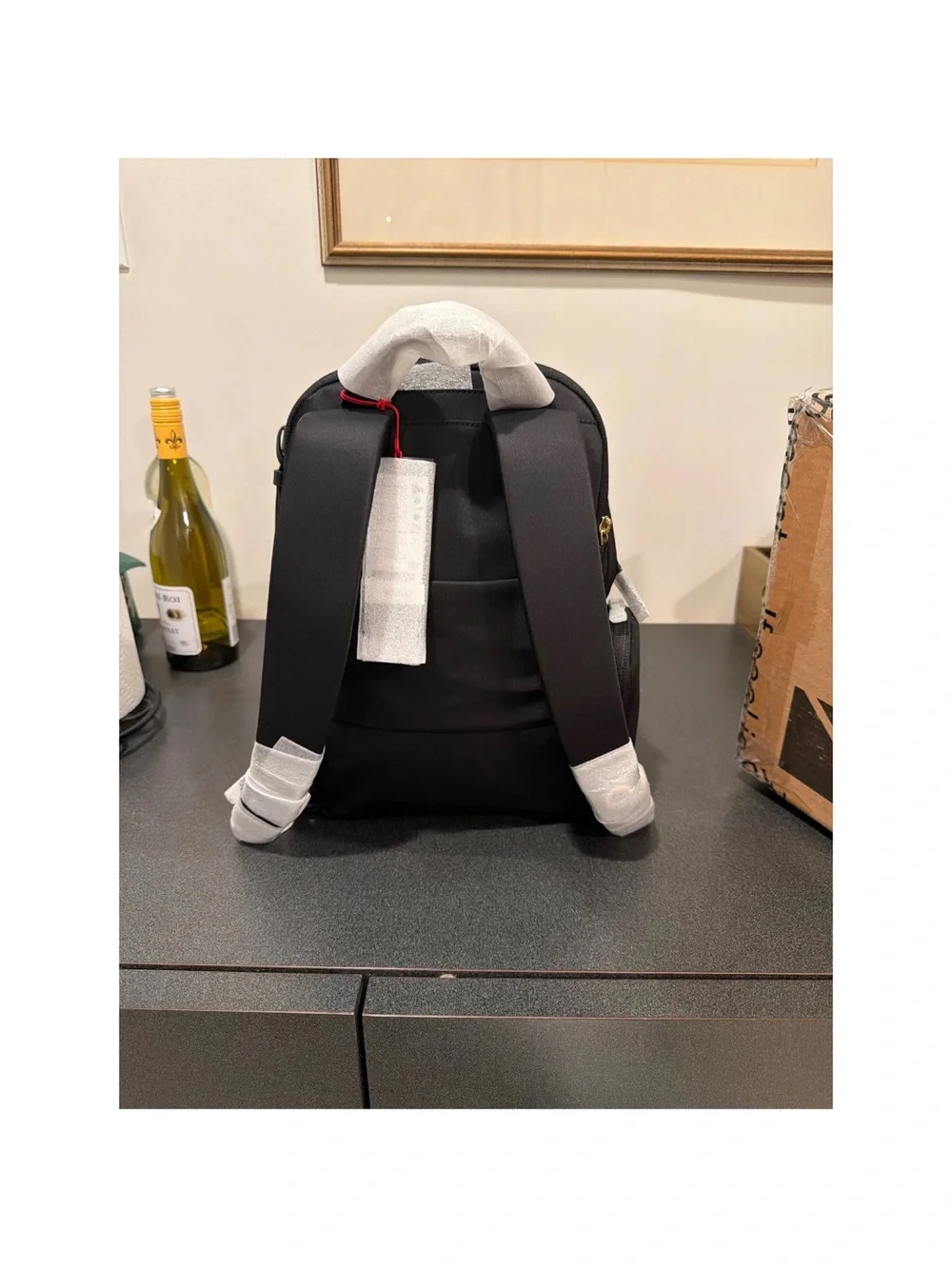 Brand New Tumi Backpak Explorer